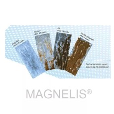 Listwa mocowania ładunku płaska L 2964mm (2x1480mm) stalowa z powłoką MAGNELIS®